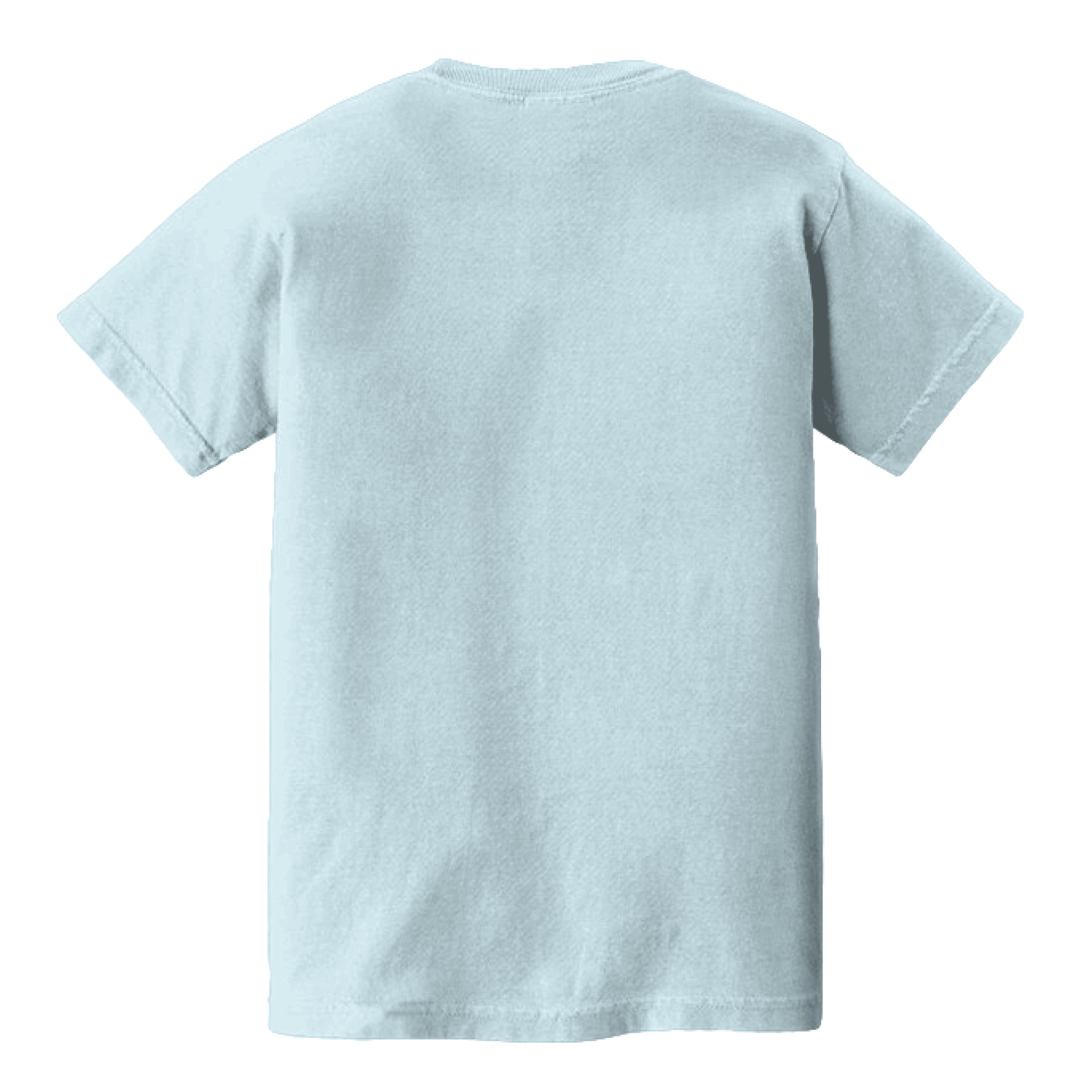 CHAMBRAY - BACK